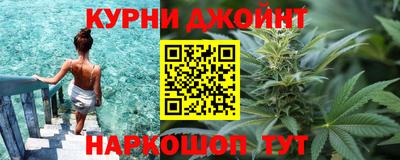 сатива Камышлов