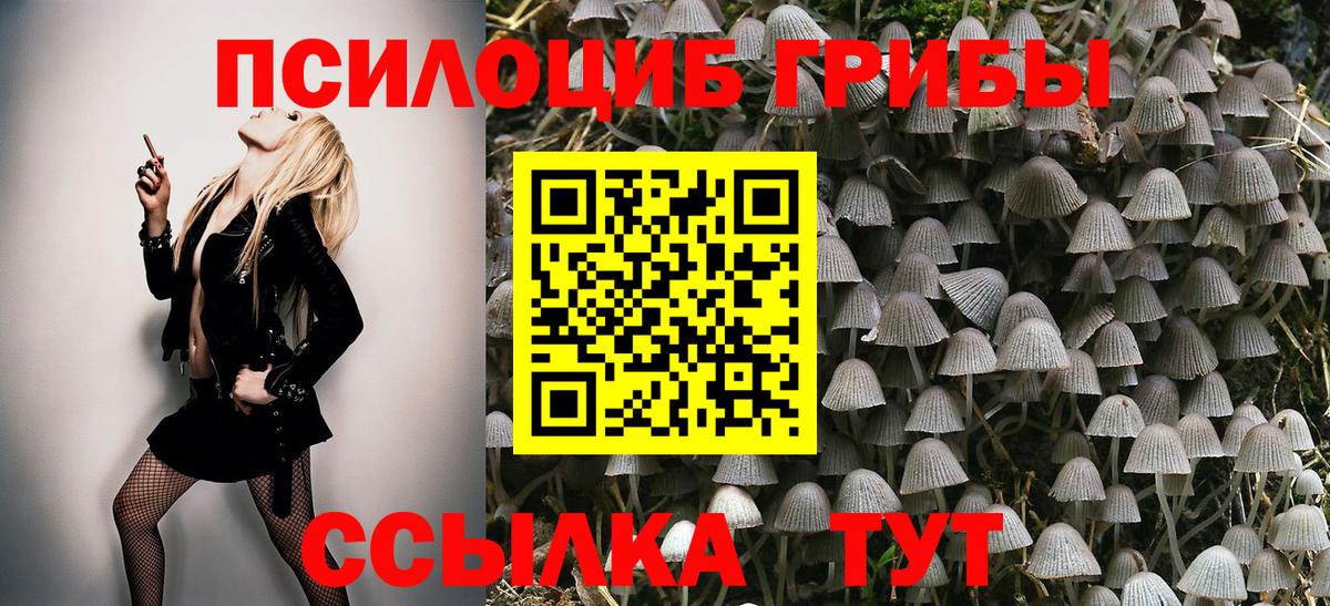 что такое   Галлюциногенные грибы Psilocybine cubensis  Вход с VPN  Галлюциногенные грибы мухоморы  Майский 