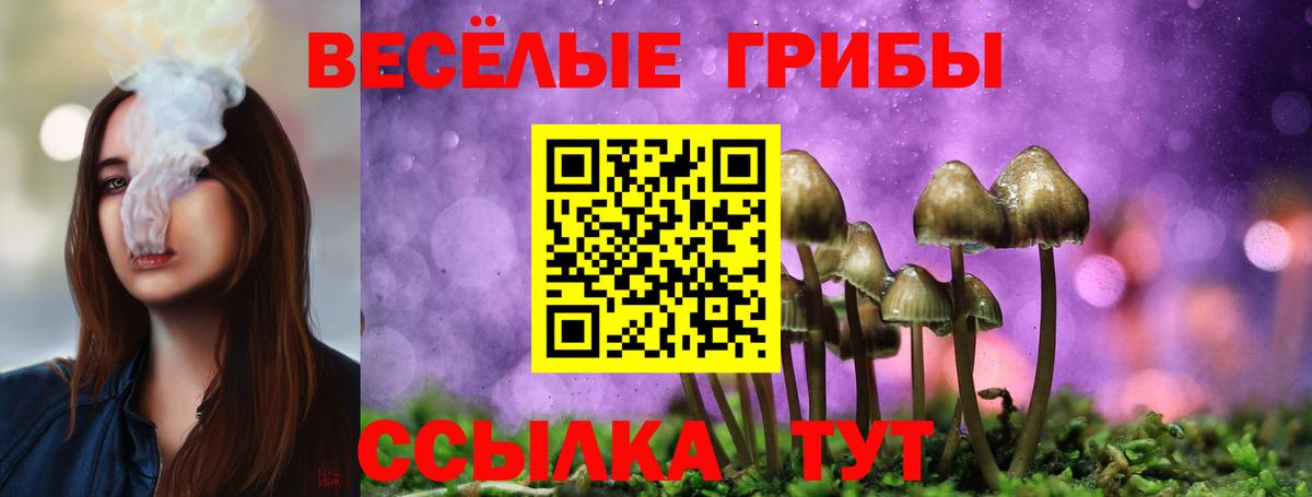 Галлюциногенные грибы Psilocybine cubensis Майский